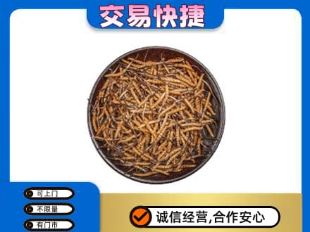 吕梁交城县回收散虫草